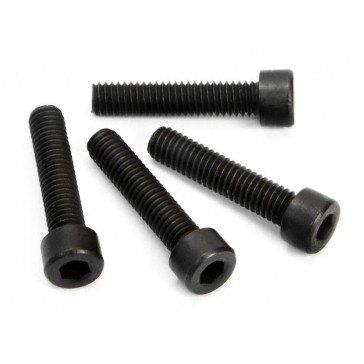 DISC.. SCREW M3.5X16MM FOR HEATSINK HEAD (4PCS)