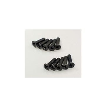 Flat Head Metallic Scrws M3x12mm (10)