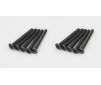 Flat Head Metallic Screws M3x30mm (10)