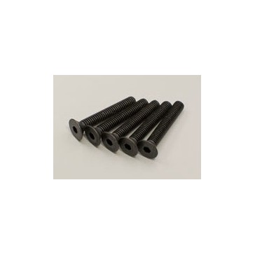 Hex Flat Head Screws 4x25mm (5)