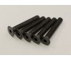 Hex Flat Head Screws 4x25mm (5)