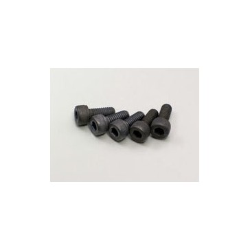 Metallic Cap Scerws M4x10mm (5)