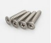 Vis TP Titane Tete Fraisee M4x20mm (4)