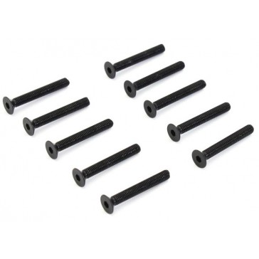Hex Flat Head Screws M3x22mm (10)