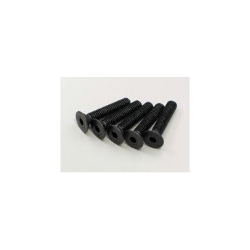 Hex Flat Head Screws 4x20mm (5)