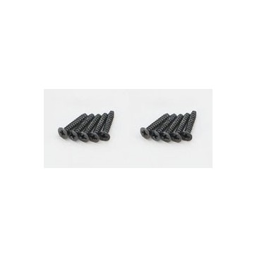 Vis TP Tete Fraisee M3x15mm (10)