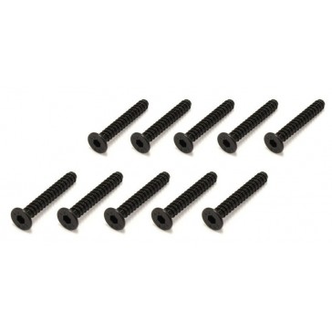 Vis TP Tete Fraisee Hex M3x20mm (10)