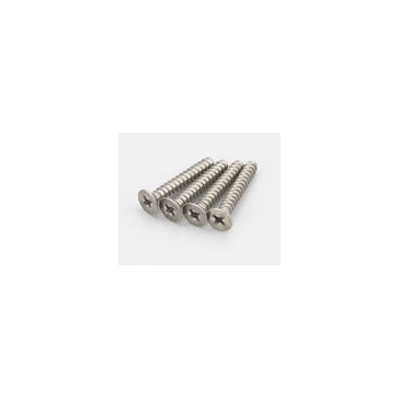 Vis TP Titane Tete Fraisee M4x25mm (4)