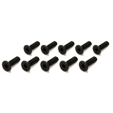 Vis TP Tete Fraisee Hex M3x10mm (10)