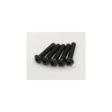 Hex Button Screws M4x20mm (5)