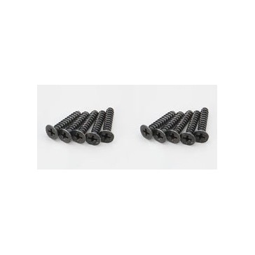 Flat Head TP Screws M4x20mm (10)