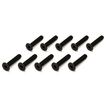 TP Hex Flat Head Screws M3x15mm (10)