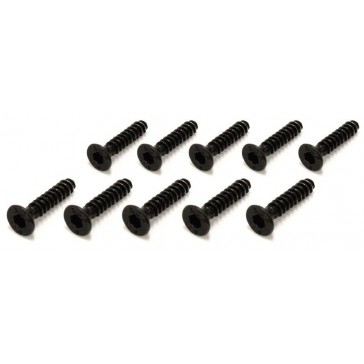 Flat Head TP Screws Hex M2.6x12mm (10)