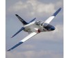 Hawk/T-45 140-160N ARF with Retract Set