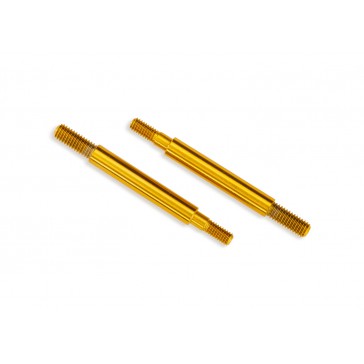 Mini GTR Short TiN-Coated Shock Shafts (2)
