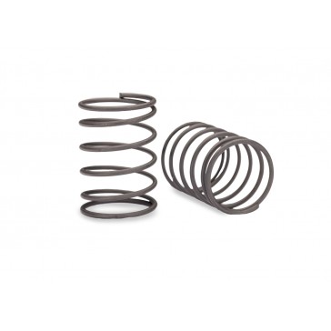 GTR Short Shock Springs (0.97-Rate) (2)