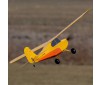Champ Anniversary Special Edition 515mm BNF Basic with SAFE