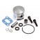 PISTON / RING & Pin SET ME - 243 BLACKOUT MT