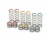 1/10 Rear Spring Assortment for PRO635901