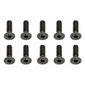 M3 X 10 FLAT HEAD HEX SCREW (10)