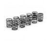 Big Bore Spring Tuning Set Trg- 5prs