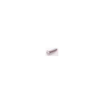DISC..  VIS TF INOX 2x10 (10 p)