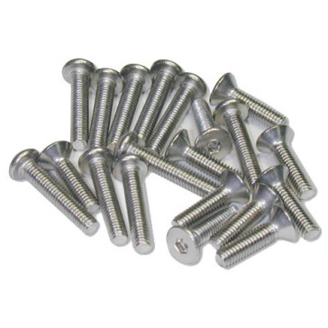 DISC.. Stainless Screw Round Head 3x8mm (10PCS)
