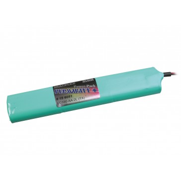 PERMABATT + TX Battery 6/2100-AA-2L