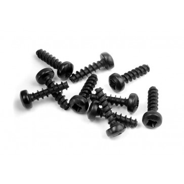 Screw Phillips 2.5X10 (10)