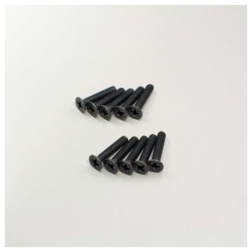 Flat Head Metallic Screws M3x16mm (10)