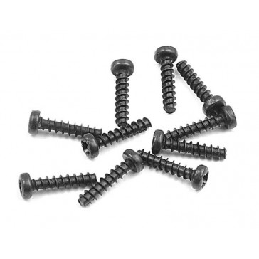 Screw Phillips 2.2X10 (10)