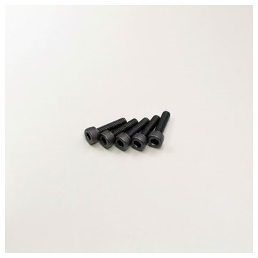 Metallic Cap Screws M3x15mm (5)