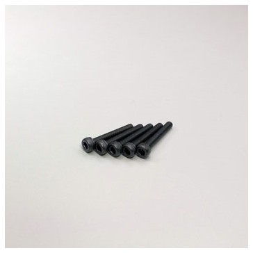 Metallic Cap Screws M3x20mm (5)