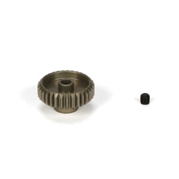 DISC.. Pinion Gear 31T, 48P, AL