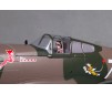 1/11 Plane 980mm P-40B Flying Tiger PNP kit w/ reflex system