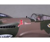 1/11 Plane 980mm P-40B Flying Tiger PNP kit