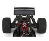 DISC.. Car Glamis Fear Four Seat Buggy-EU/UK