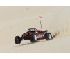 DISC.. Car Glamis Fear Four Seat Buggy-EU/UK