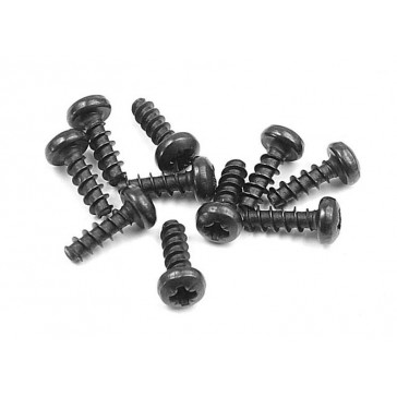 Screw Phillips 2.5X8 (10)