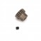 DISC.. 19T Pinion Gear: Circuit