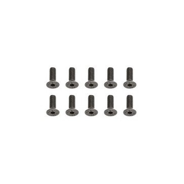 FHCS 4X12MM SCREWS (10)