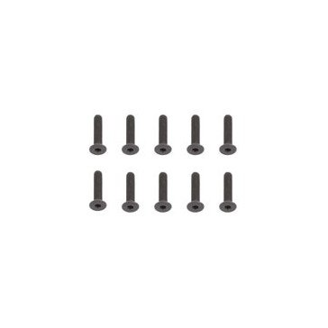 FHCS 3X14MM SCREWS (10)