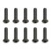 BHCS 3X12MM SCREWS (10)