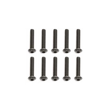 BHCS 3X16MM SCREWS (10)