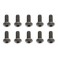 BHCS 4X10MM SCREWS (10)