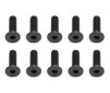 FHCS 4X14MM SCREWS (10)