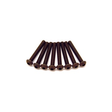 M3 X 6 DOME HEAD SCREWS(6)