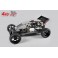 Off-Road Buggy WB 535, 4WD, transparent body