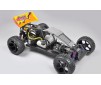 Off-Road Buggy WB 535, 4WD, RTR, coloured body