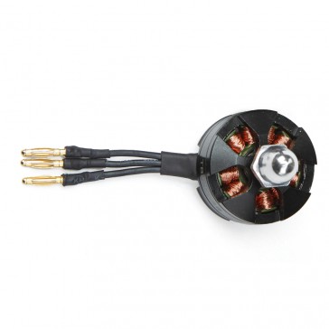 DISC.. Motor TB2204 CW for TB250 racer